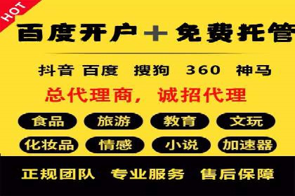 高效SEM托管服务：成功案例深度解析